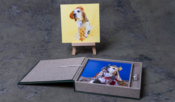Folio Box