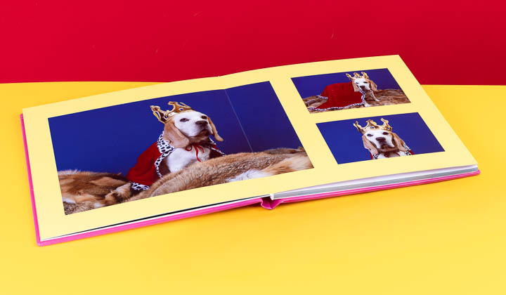 Fotoalbum Pro