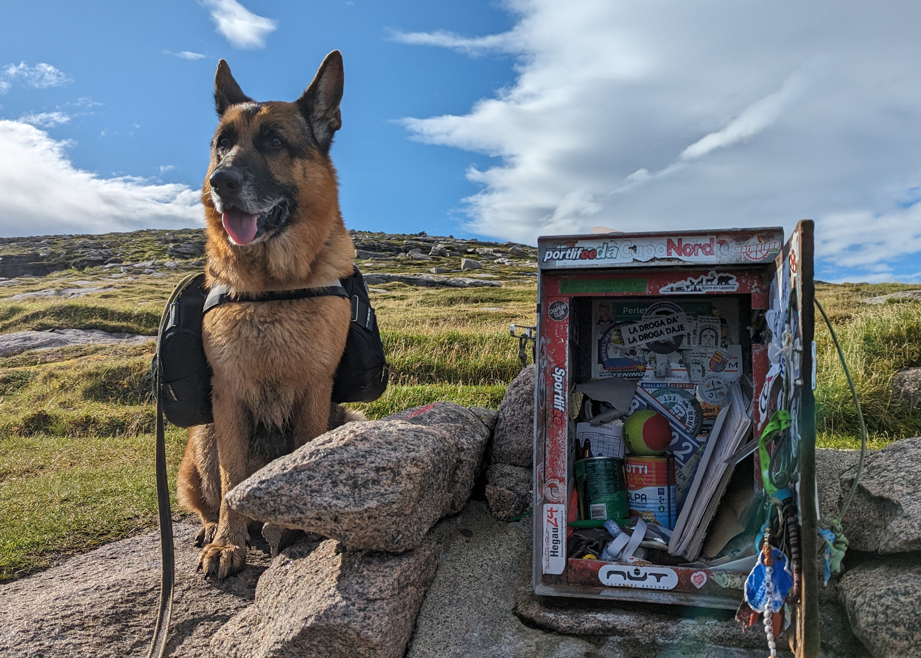 Harvey mit schwarzer Langhaar-Perücke