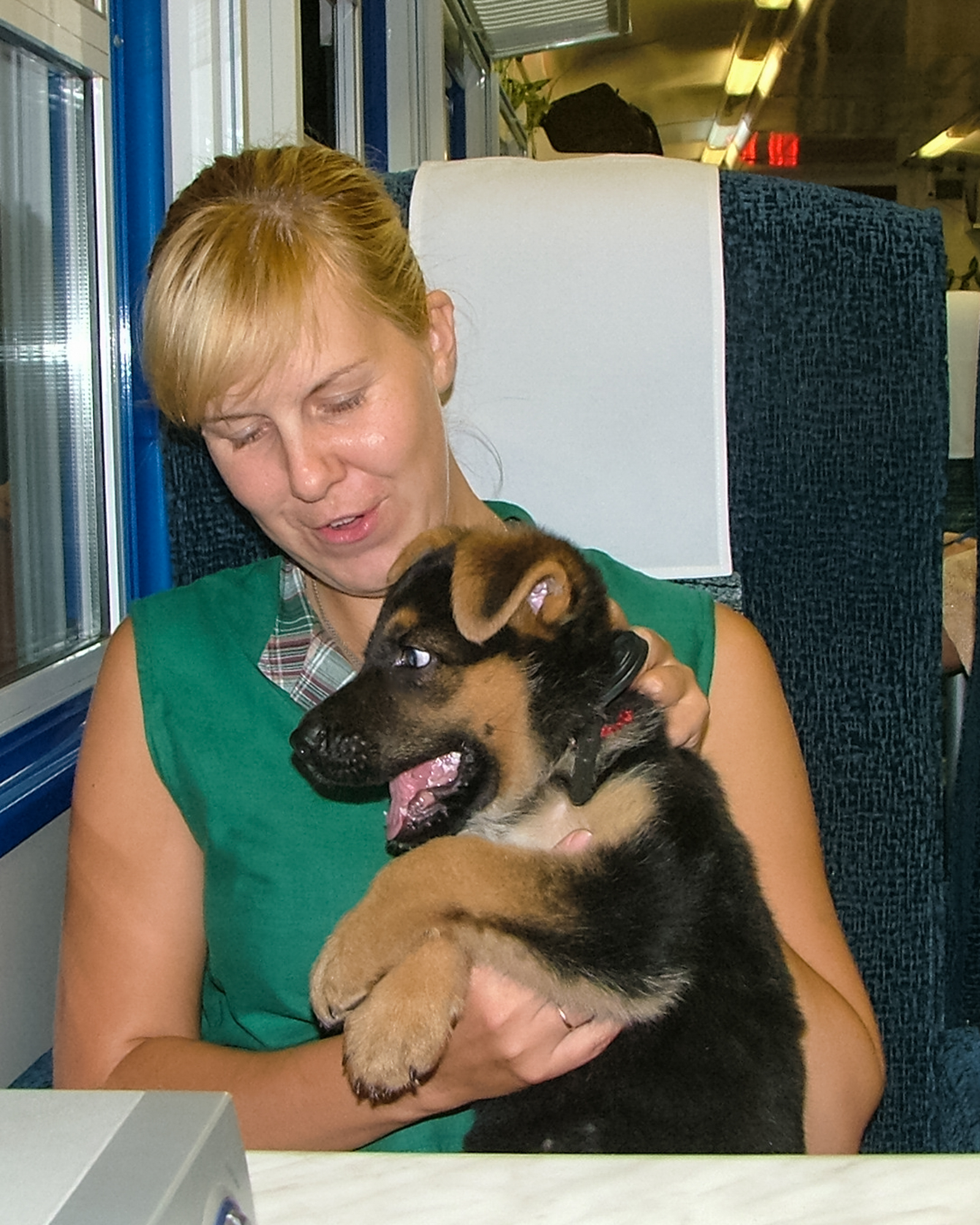 Julia im Zug mit Metrix als Welpen