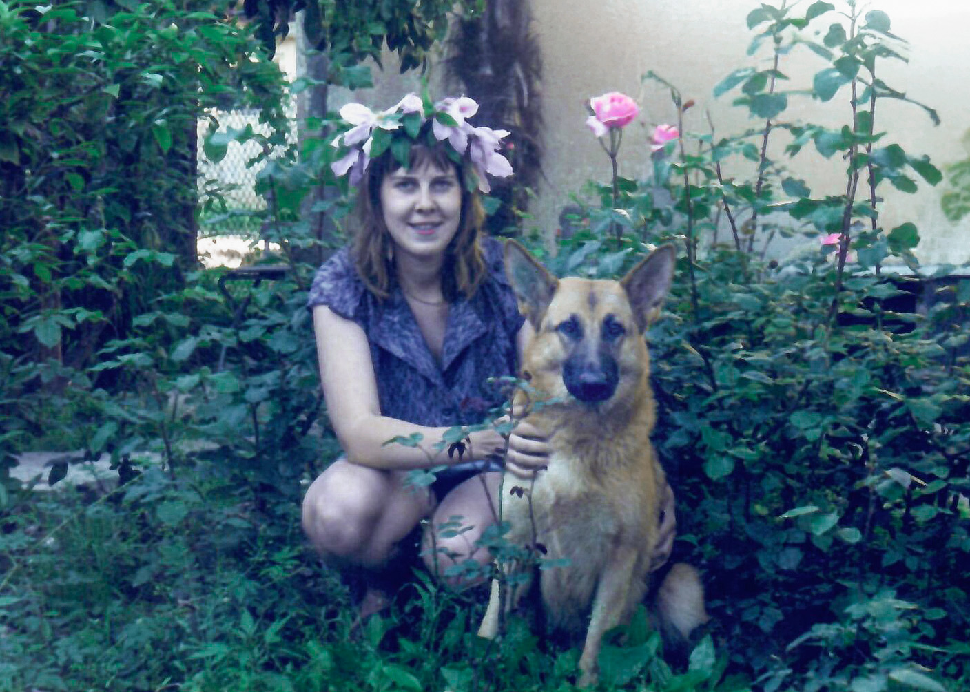 Kora auf der Hundeausstellung