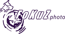 FoKuz