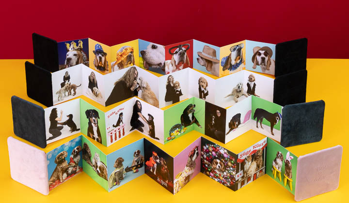 Mini-Leporello