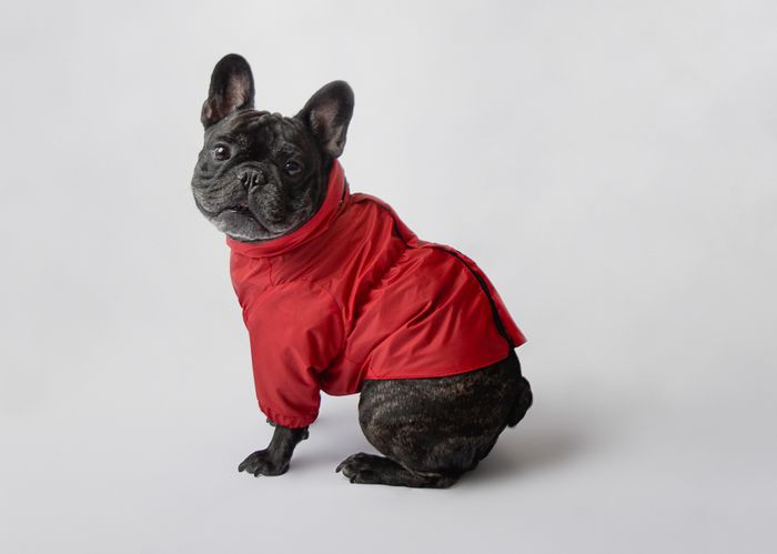 Modekatalog