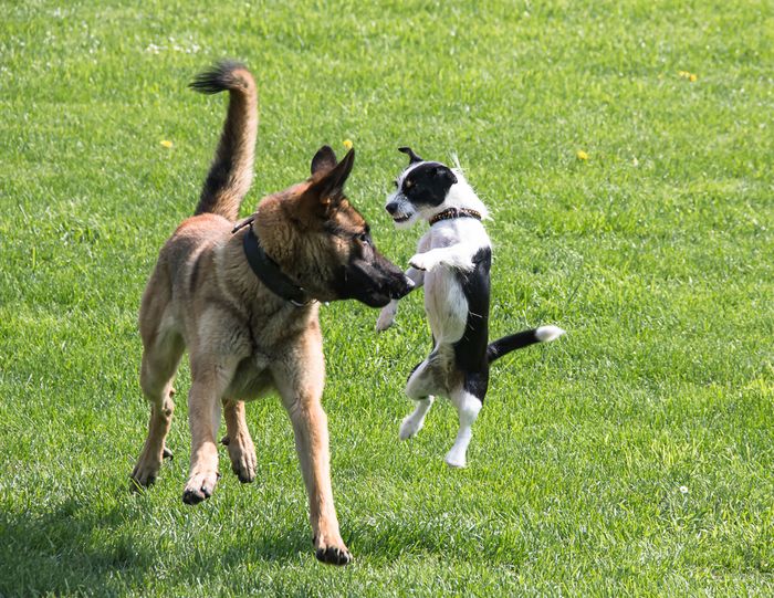 Spielaction